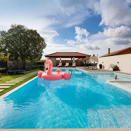 My Dalmatia - Neda With Shared Pool Apartman *