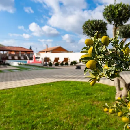 Apartman My Dalmatia - Neda With Shared Pool