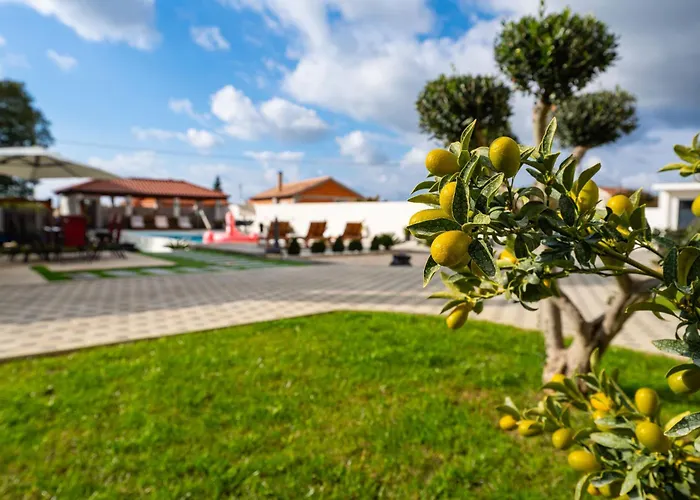 Apartman My Dalmatia - Neda With Shared Pool